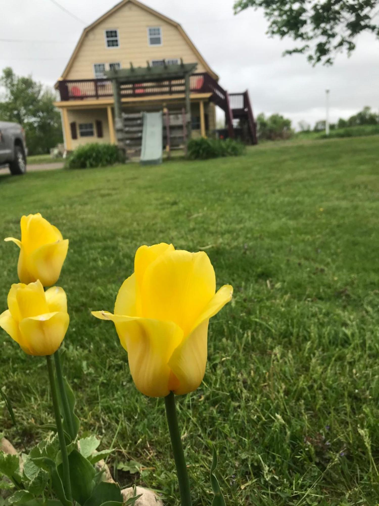 A Country Home Inn The City Charlottetown Exteriör bild